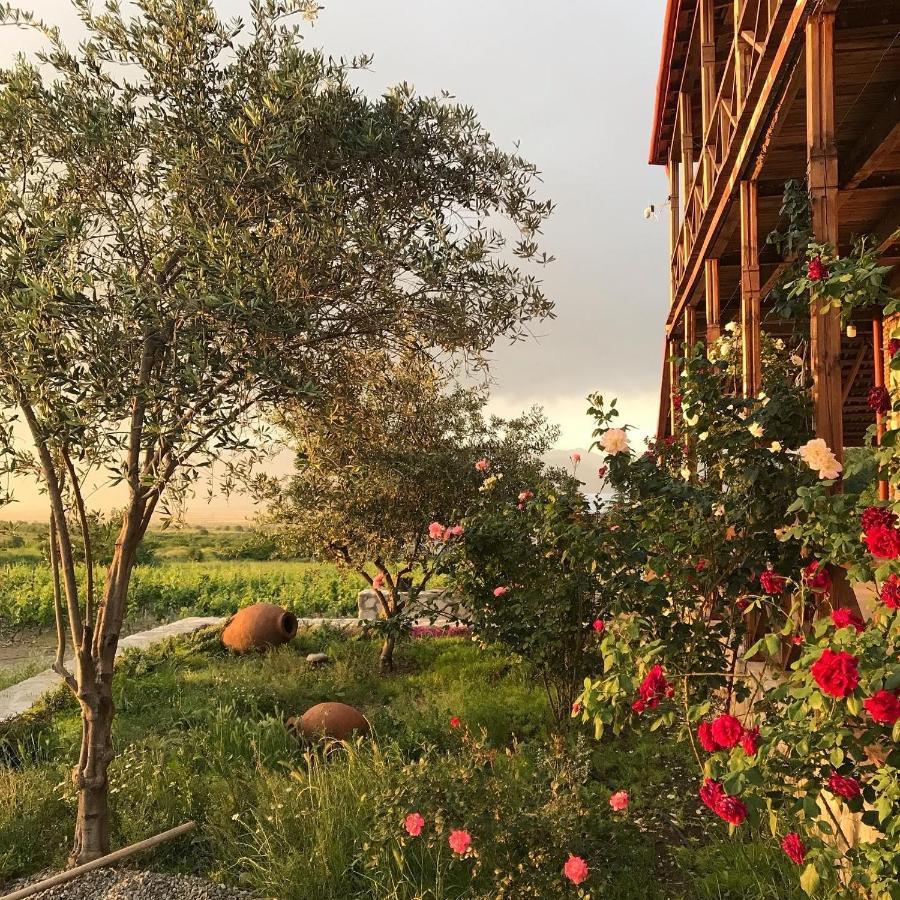 Elizbar Talakvadze Winery Villa Kardanakhi Exteriör bild